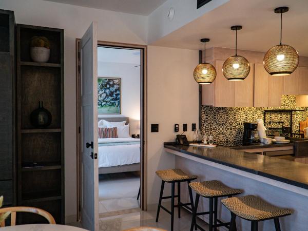 Flamboyan Hotel & Residences : photo 3 de la chambre two bedroom residences full kitchen