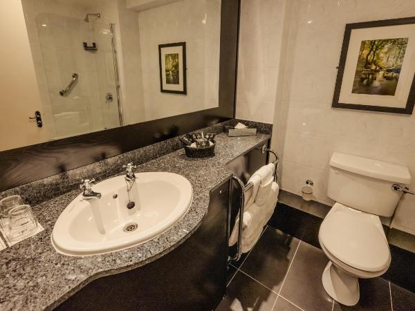 Ashling Hotel Dublin : photo 4 de la chambre chambre lits jumeaux supérieure