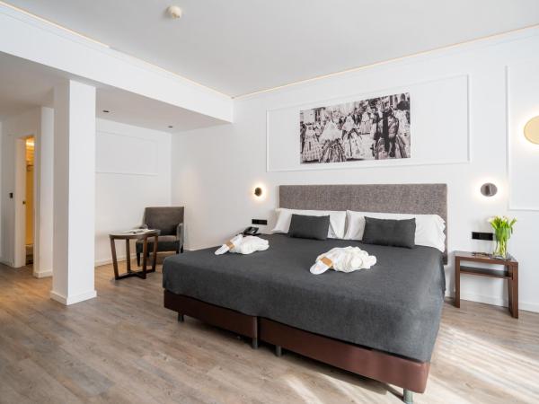 Hotel Conqueridor : photo 5 de la chambre suite junior