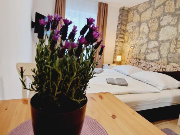 Balaton Apartman Füred : photo 5 de la chambre studio