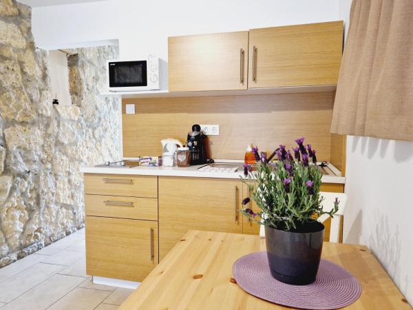 Balaton Apartman Füred : photo 7 de la chambre studio