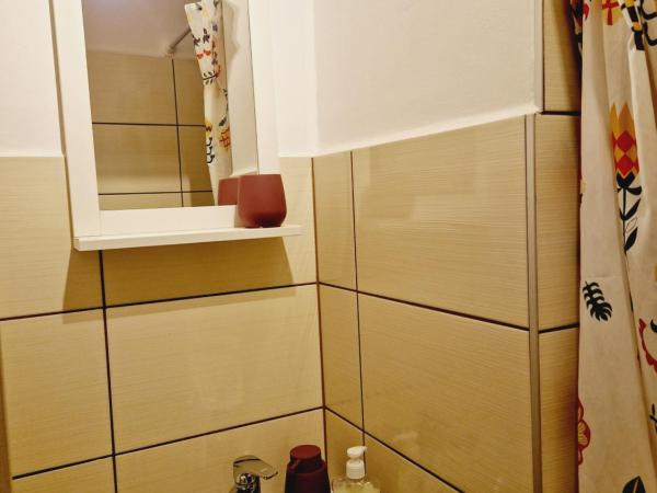 Balaton Apartman Füred : photo 10 de la chambre studio