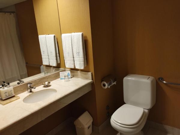 Howard Johnson Plaza by Wyndham Buenos Aires Florida Street : photo 4 de la chambre mobility accessible queen room