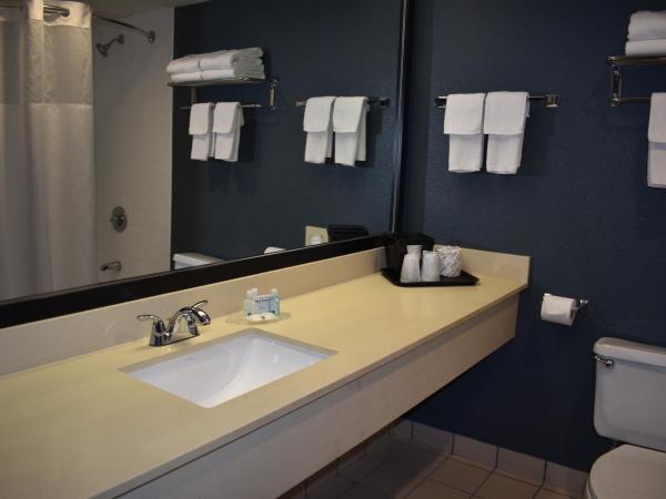 Quality Inn & Suites Garden Of The Gods : photo 3 de la chambre chambre exécutive avec 2 lits queen-size - non-fumeurs