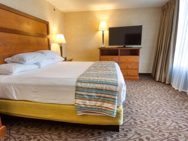 Drury Inn & Suites Atlanta Airport : photo 1 de la chambre suite lit king-size avec canapé-lit