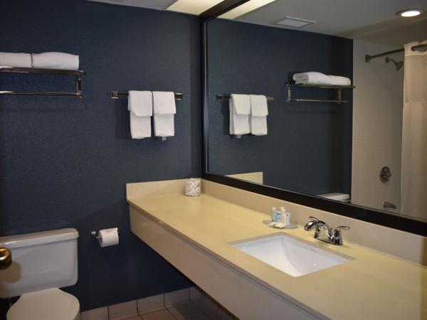 Quality Inn & Suites Garden Of The Gods : photo 4 de la chambre chambre 2 lits queen-size non-fumeurs - animaux domestiques admis