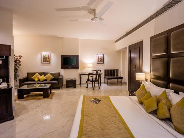 Hotel Shanti Palace Mahipalpur : photo 3 de la chambre suite room with airport pickup and  20% discount on food and soft beverage and 24 hours check-in and check-out 