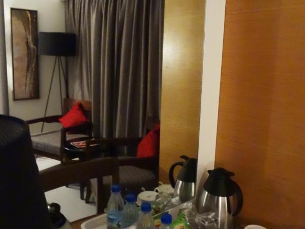 Hotel Suba International Sahar Road Mumbai : photo 3 de la chambre deluxe room (10% discount on laundry)