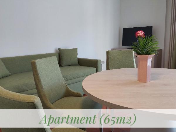 Hotel Nessi Locarno : photo 5 de la chambre appartement avec balcon