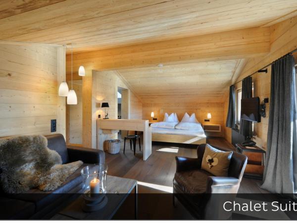 Hotel Arc-en-ciel Gstaad : photo 2 de la chambre suite chalet