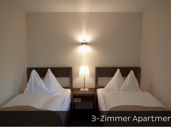 Hotel Arc-en-ciel Gstaad : photo 9 de la chambre appartement 2 chambres