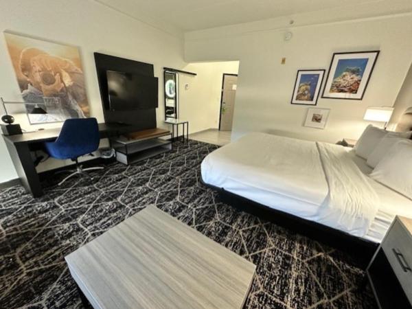 La Quinta by Wyndham Houston Bush IAH South : photo 2 de la chambre chambre lit king-size