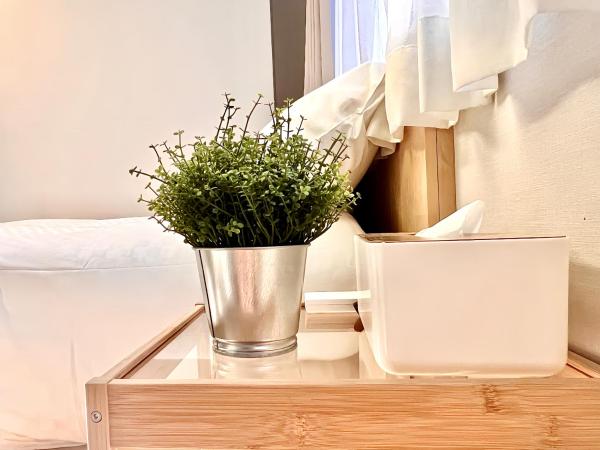 东京上野超级中心 设计师房间Yeoa 上野公园3分钟 车站1分钟 超级繁华 免费wifi 戴森吹风 : photo 2 de la chambre chambre double deluxe avec douche