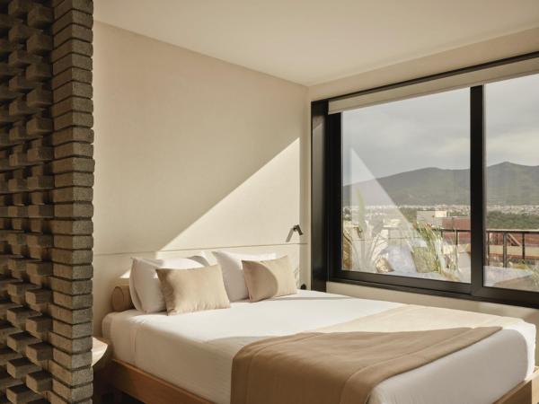 The Newel Psychiko : photo 2 de la chambre suite affaires