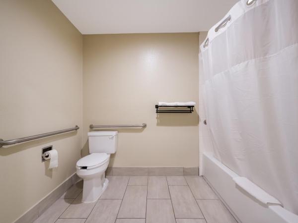 Americas Best Value Inn I-45 / Loop 610 : photo 4 de la chambre chambre 2 lits queen-size - accessible aux personnes à mobilité réduite - non-fumeurs