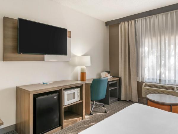 Comfort Inn & Suites Louisville Airport Fair & Expo : photo 3 de la chambre chambre lit king-size - accessible aux personnes à mobilité réduite/non-fumeurs