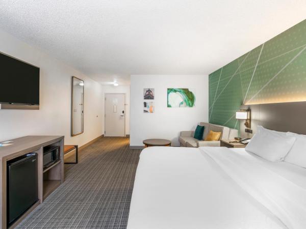 Comfort Inn & Suites Louisville Airport Fair & Expo : photo 3 de la chambre suite lit king-size - non-fumeurs