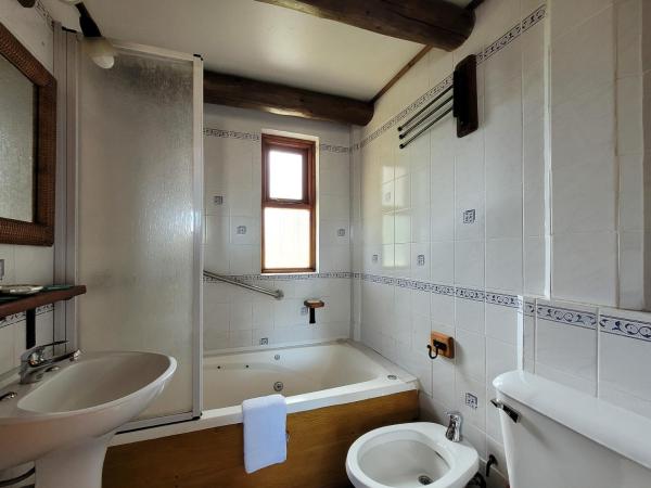 Apart Hotel Del Arroyo : photo 5 de la chambre appartement