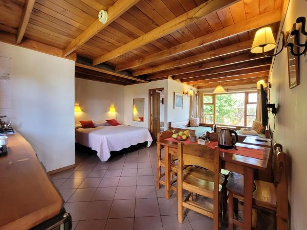 Apart Hotel Del Arroyo : photo 5 de la chambre studio