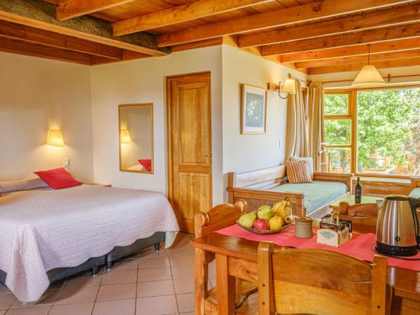 Apart Hotel Del Arroyo : photo 2 de la chambre studio