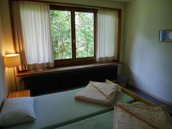 Grindelwald Youth Hostel : photo 1 de la chambre chambre double avec douche