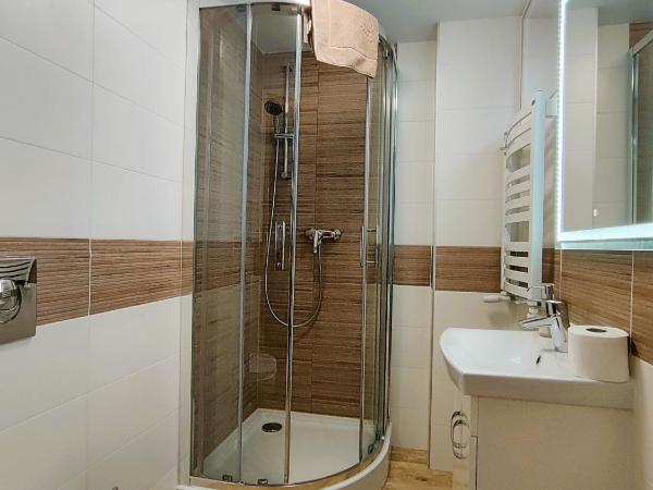 Zielony Zakątek Karpacz Apartamenty : photo 1 de la chambre grande chambre double 