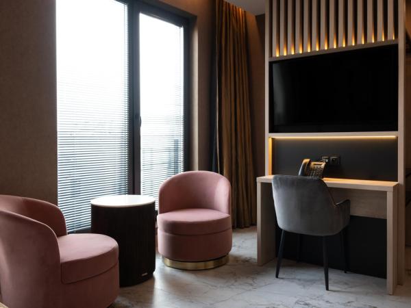 Art Suites Luxury Hotel : photo 10 de la chambre chambre double ou lits jumeaux standard