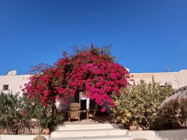 Menzel Caja : photo 2 de la chambre chambre double lys
