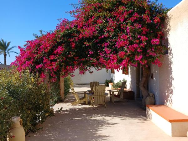 Menzel Caja : photo 3 de la chambre chambre double lys