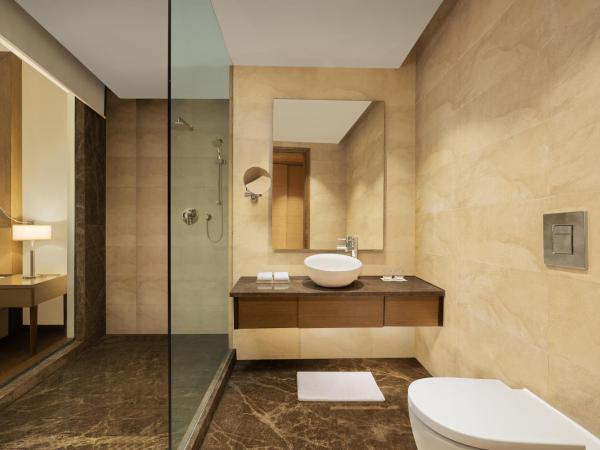 Radisson Blu Hotel New Delhi Dwarka : photo 4 de la chambre superior same day use room from 10am to 5pm ( no overnight stay allowed)