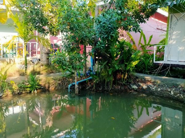 Ban Suan Lung Rin : photo 4 de la chambre chambre double standard