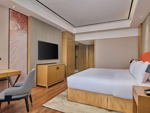 Hilton Garden Inn Wuhan Hankou : photo 2 de la chambre chambre lit king-size
