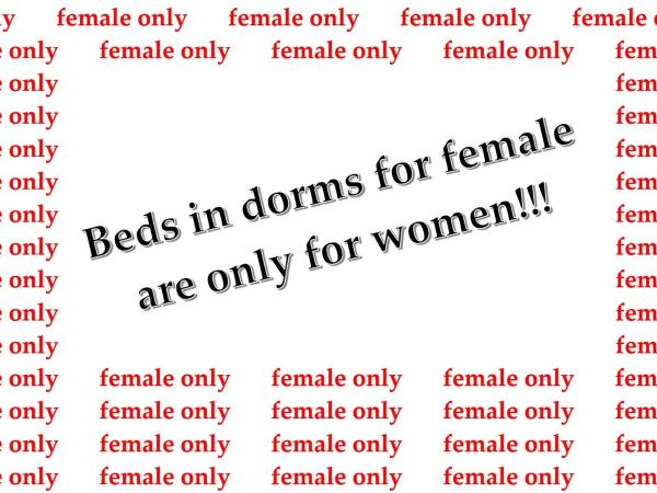 CVJM Jugendhotel München : photo 1 de la chambre lit dans dortoir pour femmes de 4 lits