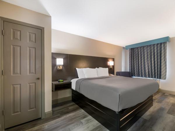 Quality Inn & Suites Altamonte Springs Orlando-North : photo 4 de la chambre chambre lit queen-size - non-fumeurs