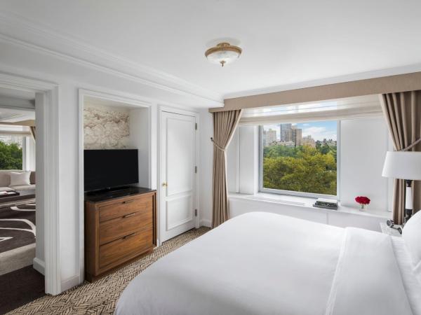 The Ritz-Carlton New York, Central Park : photo 3 de la chambre suite - vue sur parc
