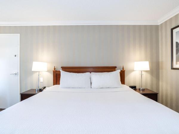 Sandman Signature Edmonton Downtown Hotel : photo 3 de la chambre chambre standard 1 lit king-size