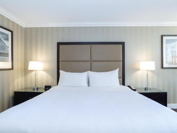 Sandman Signature Edmonton Downtown Hotel : photo 3 de la chambre chambre premium avec 1 lit king-size - derniers Étages