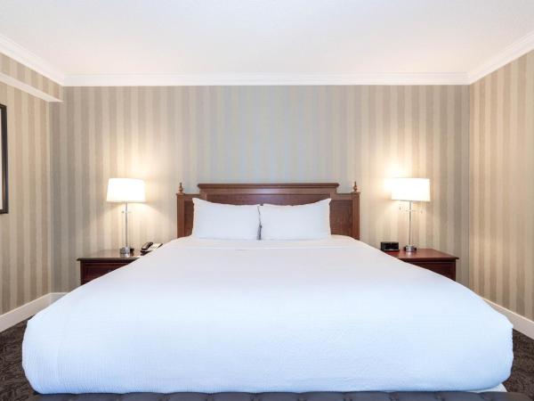 Sandman Signature Edmonton Downtown Hotel : photo 3 de la chambre grande chambre deluxe avec 1 lit king-size - Étages intermédiaires