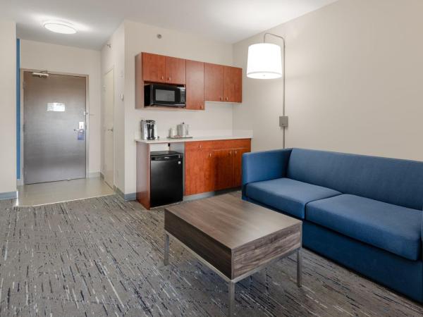 Holiday Inn Express Hotel & Suites-Edmonton South, an IHG Hotel : photo 3 de la chambre chambre king standard avec canapé-lit