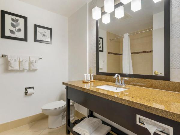 Country Inn & Suites by Radisson, Tampa Airport North, FL : photo 2 de la chambre chambre lit king-size - non-fumeurs