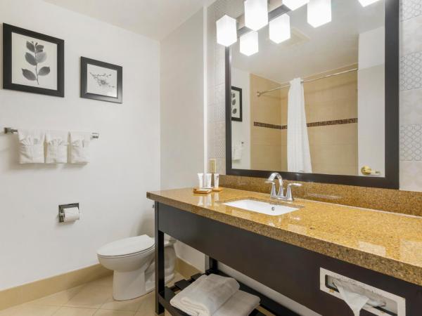 Country Inn & Suites by Radisson, Tampa Airport North, FL : photo 2 de la chambre suite 1 chambre lit king-size avec canapé-lit - non-fumeurs