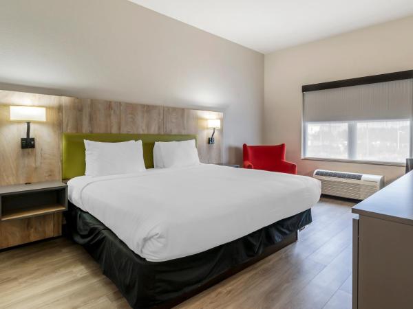 Country Inn & Suites by Radisson, Tampa Airport North, FL : photo 4 de la chambre chambre lit king-size - non-fumeurs