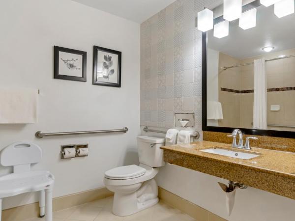 Country Inn & Suites by Radisson, Tampa Airport North, FL : photo 3 de la chambre chambre lit king-size pour personnes à mobilité réduite - non-fumeurs