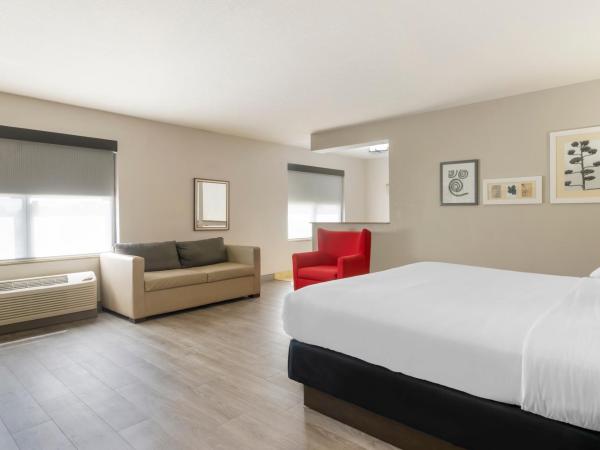 Country Inn & Suites by Radisson, Tampa Airport North, FL : photo 1 de la chambre suite lit king-size avec jacuzzi - non-fumeurs