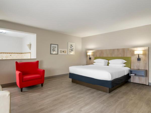 Country Inn & Suites by Radisson, Tampa Airport North, FL : photo 2 de la chambre suite lit king-size avec jacuzzi - non-fumeurs