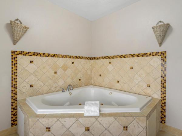 Country Inn & Suites by Radisson, Tampa Airport North, FL : photo 4 de la chambre suite lit king-size avec jacuzzi - non-fumeurs