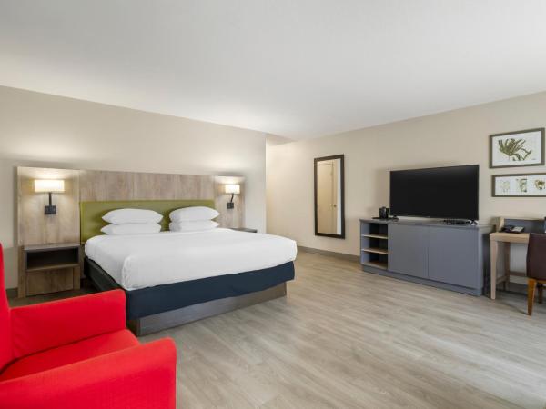 Country Inn & Suites by Radisson, Tampa Airport North, FL : photo 5 de la chambre suite lit king-size avec jacuzzi - non-fumeurs