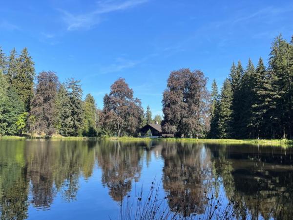 Retro Villa Maruška Kladská : photo 8 de la chambre chambre deluxe (2 adultes + 1 enfant)