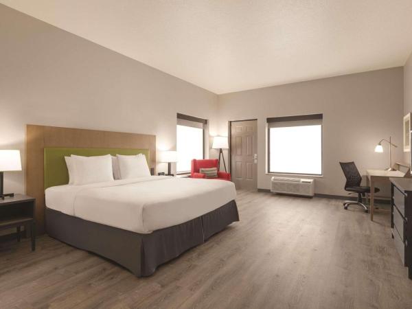 Country Inn & Suites by Radisson, Tampa Airport East-RJ Stadium : photo 3 de la chambre chambre lit king-size pour personnes à mobilité réduite - non-fumeurs