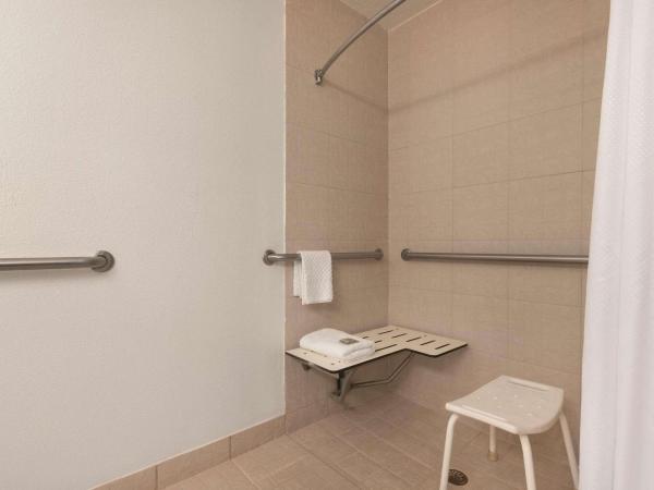 Country Inn & Suites by Radisson, Tampa Airport East-RJ Stadium : photo 4 de la chambre chambre lit king-size avec douche accessible en fauteuil roulant - adaptée aux personnes à mobilité réduite